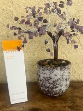 Rodan and Fields Reverse Radiance Mask Sealed 1.69oz